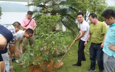 1496737760669503.jpg 16.2.jpg