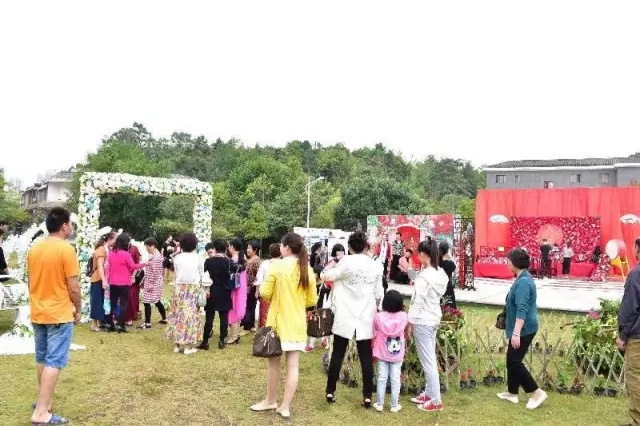 1498457999509453.jpg 640.webp (2).jpg