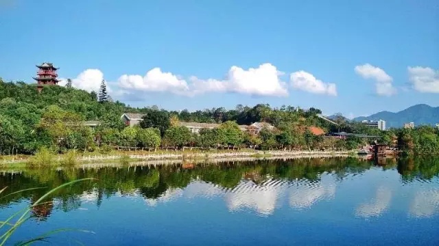 1498458054789996.jpg 640.webp (6).jpg