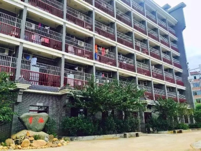 1498458122367275.jpg 640.webp (9).jpg