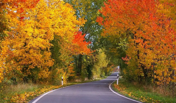 1505265801517404.png blob.png