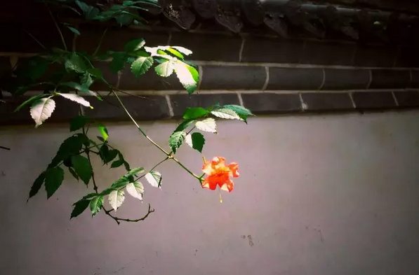 1505873590638930.png blob.png