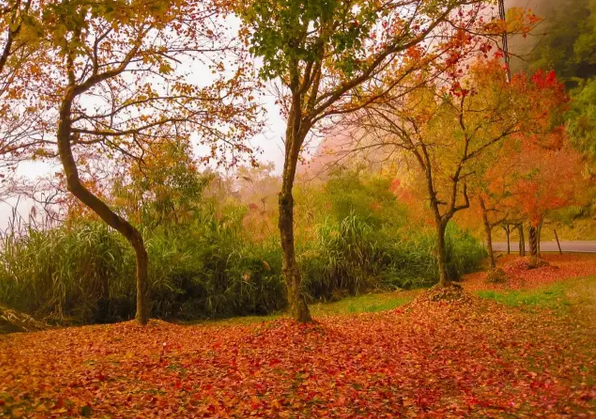 1505873598815475.png blob.png