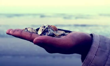 1509328731941953.png blob.png