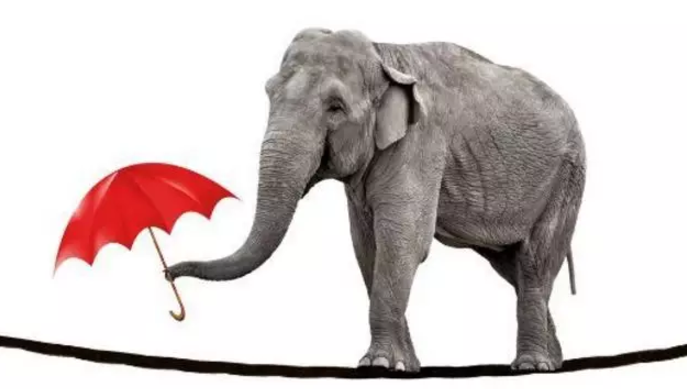 1521701617734121.png image.png