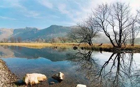 1521767464974839.png image.png