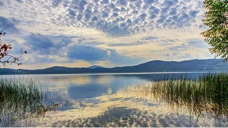 1521767475194576.png image.png