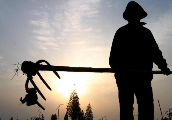 1525224772344208.png image.png